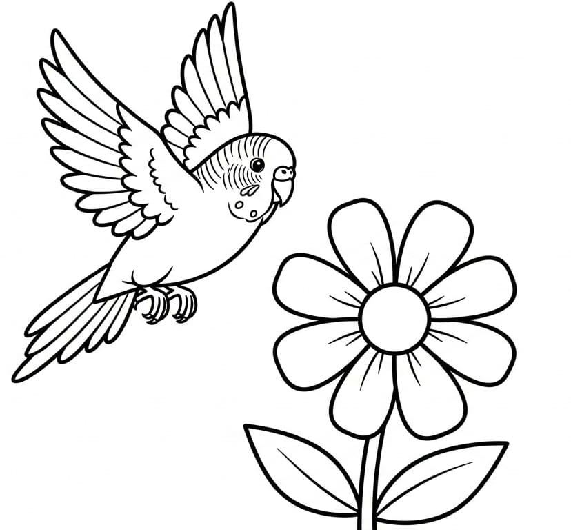 Papegøye og blomst fargelegging