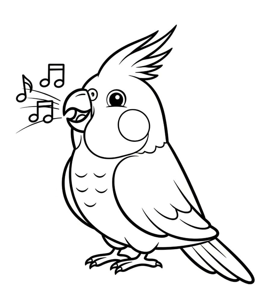 Papegøye Fargelegging