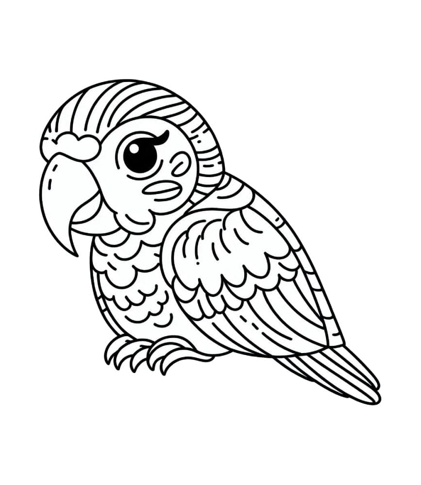 Papegøyehode fargelegging