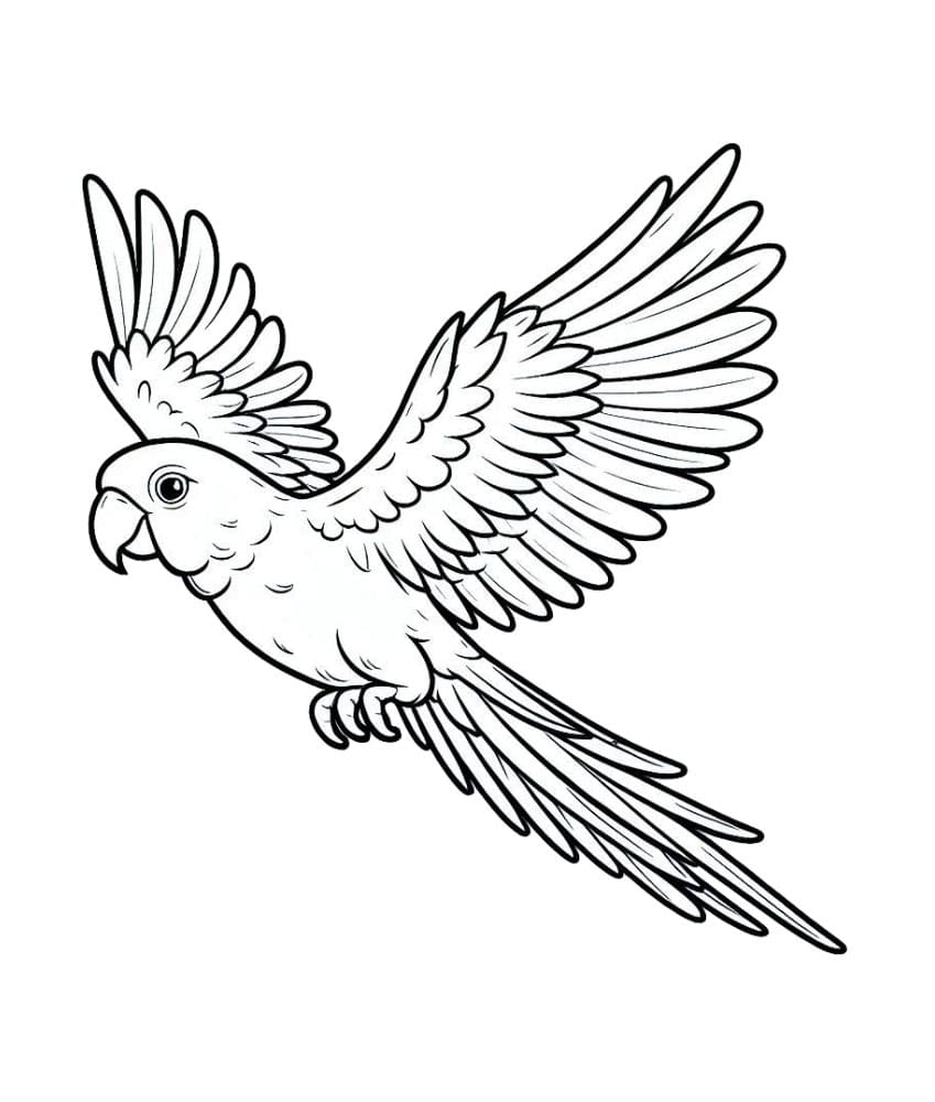 Papegøyen flyr fort fargelegging