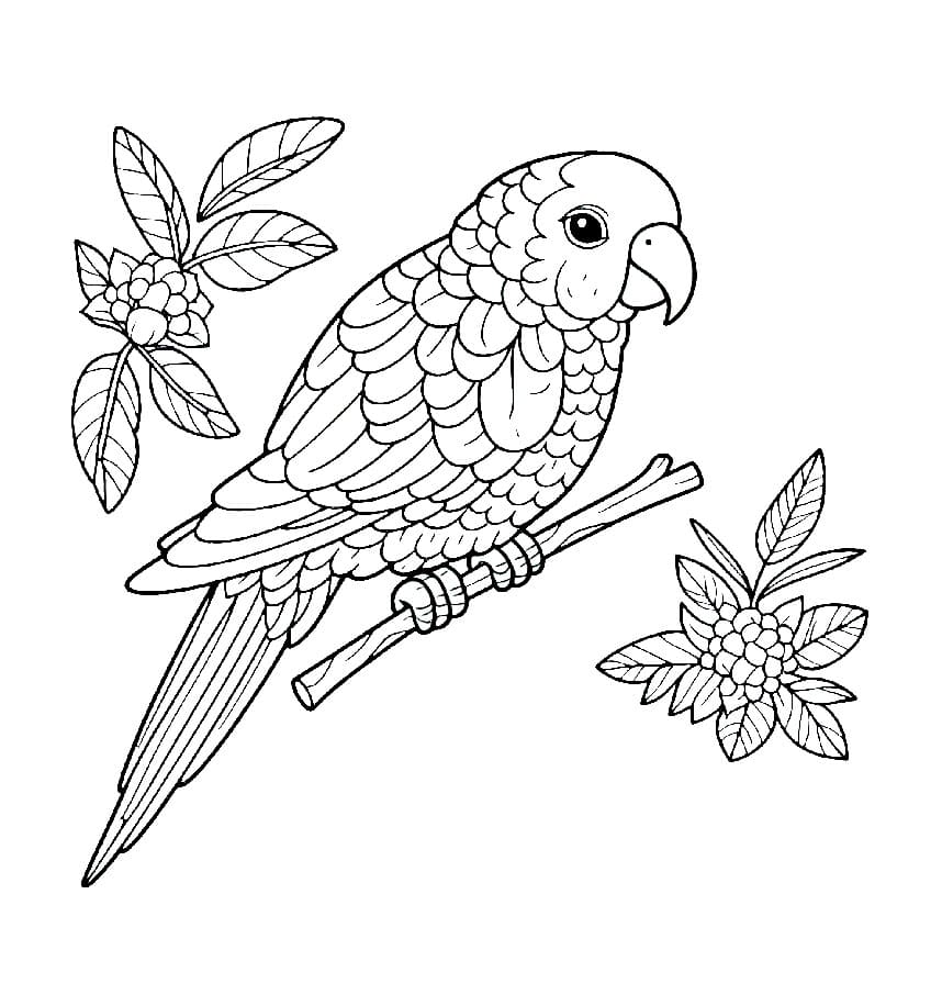 Papegøyen og bladet fargelegging