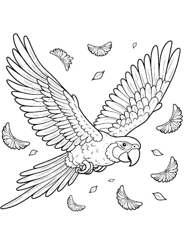 Papegøyer og fjær fargelegging