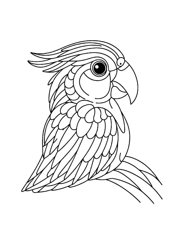 Portrett av en papegøye fargelegging