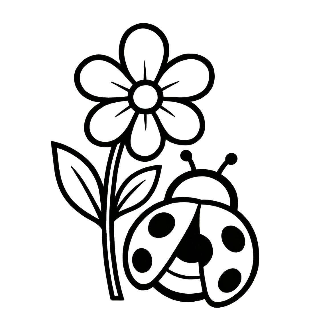 Skisse av marihøne og blomst fargelegging