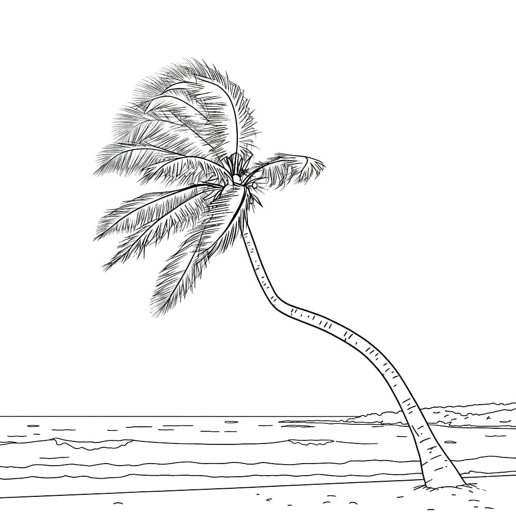 Skjent palmetre fargelegging