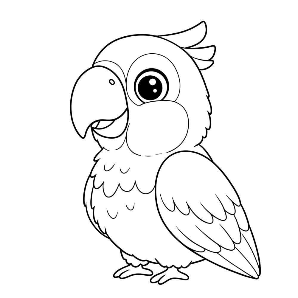 Søt papegøye fargelegging