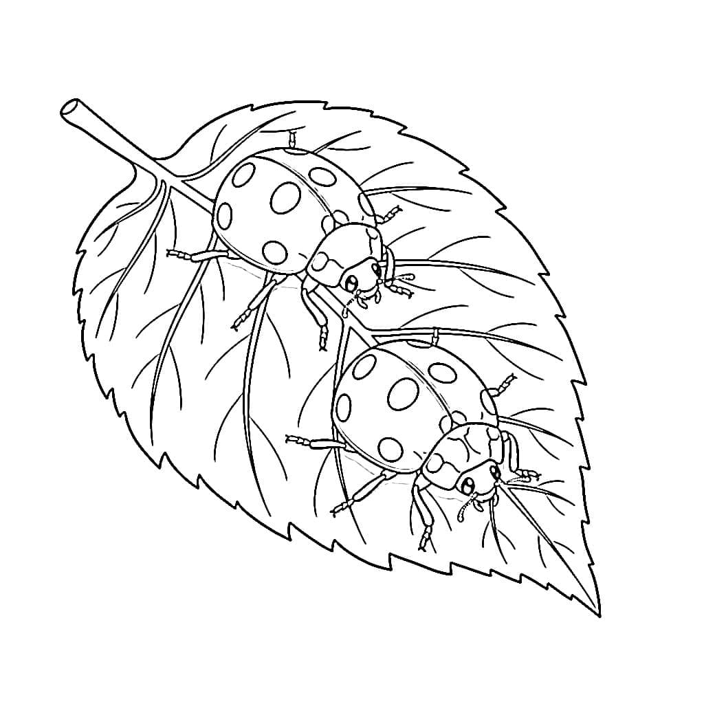 To marihøner på et blad fargelegging