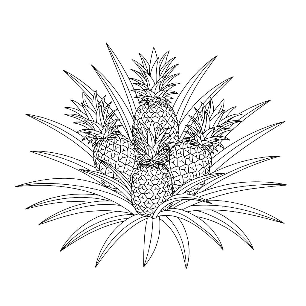 Ananasbusker fargelegging