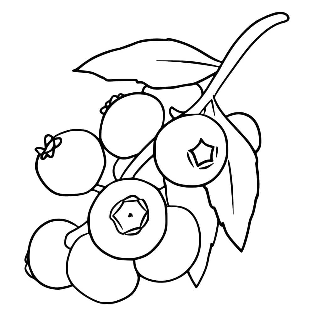 Åtte blåbær fargelegging