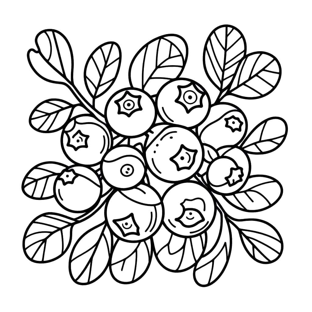 Blåbær er gratis fargelegging