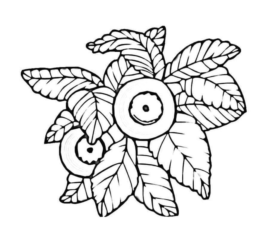 Blåbær for barn fargelegging