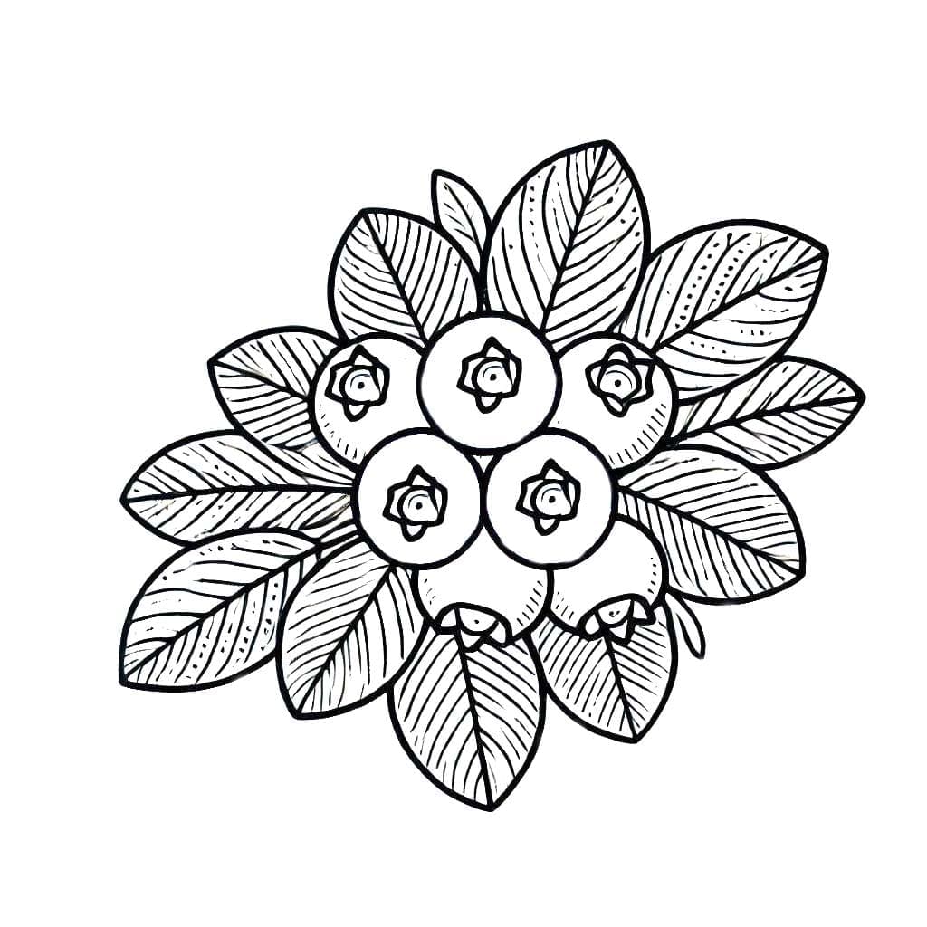 Blåbær og blader fargelegging