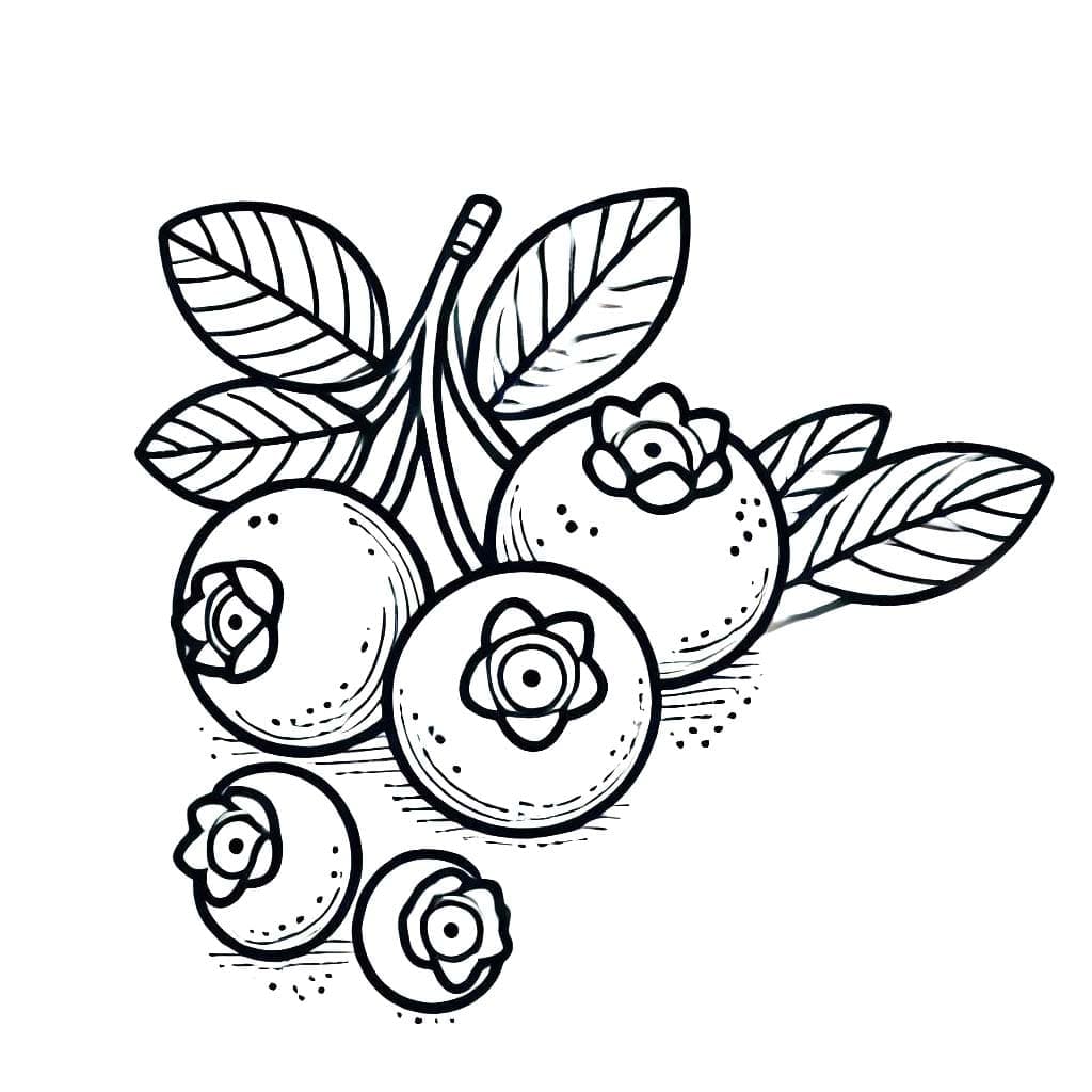 Blåbær store og små fargelegging