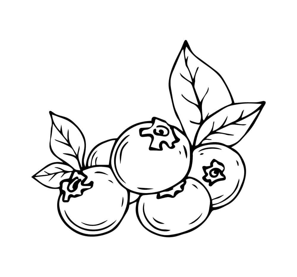 Blåbærtegning fargelegging