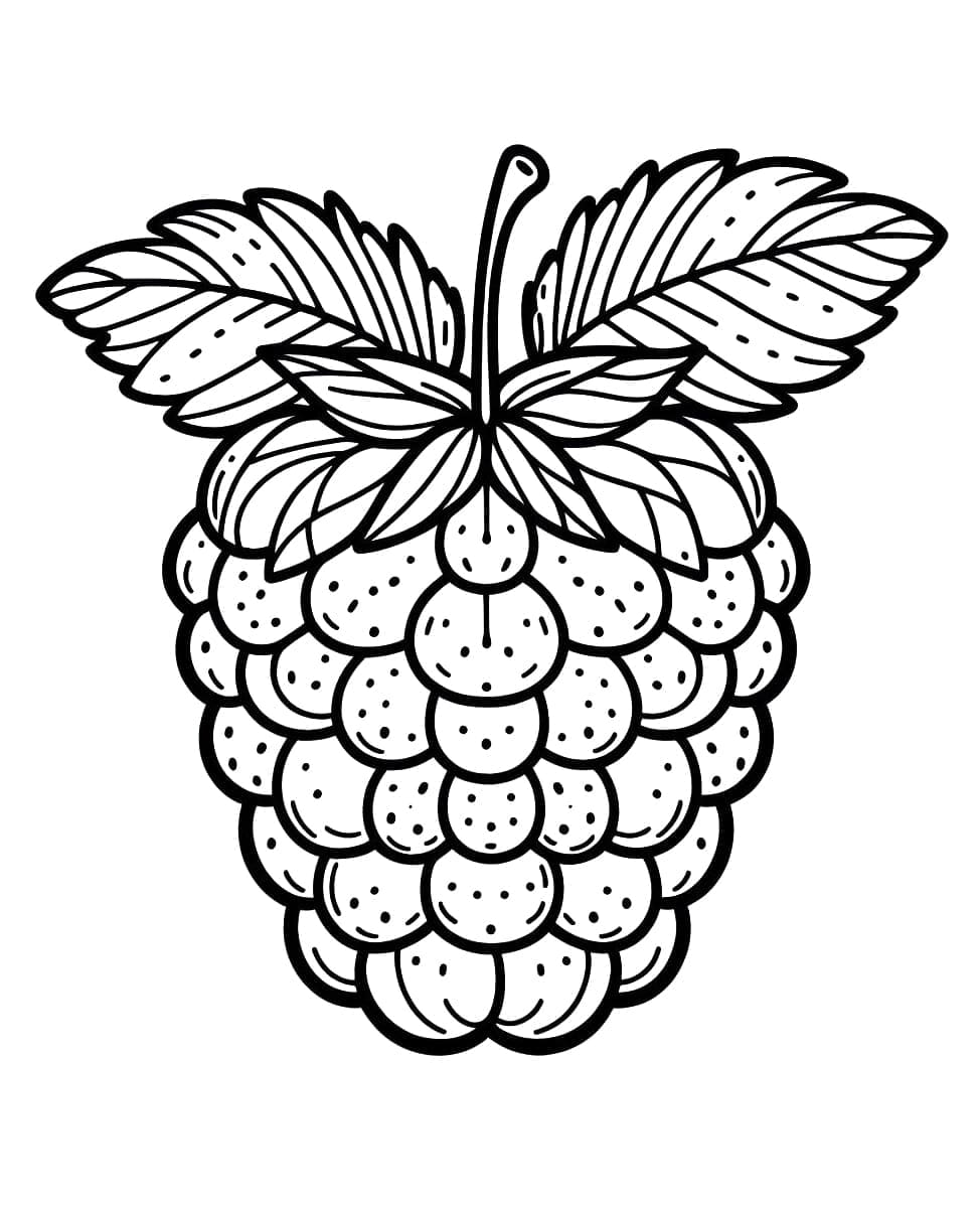 Bringebær Gratis fargelegging