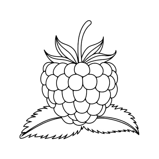 Bringebær og to blader fargelegging