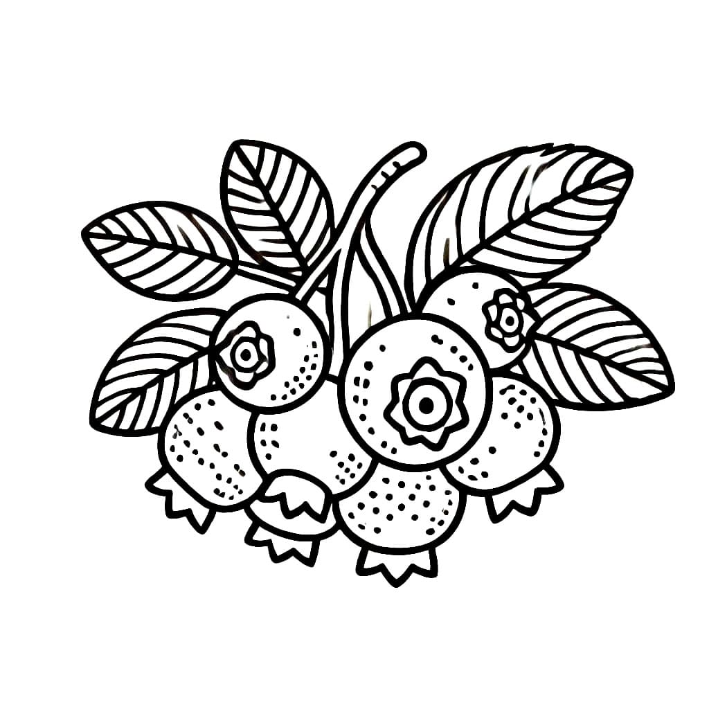 Deilige blåbær fargelegging