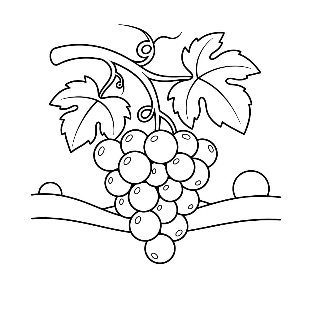 Deilige druer fargelegging