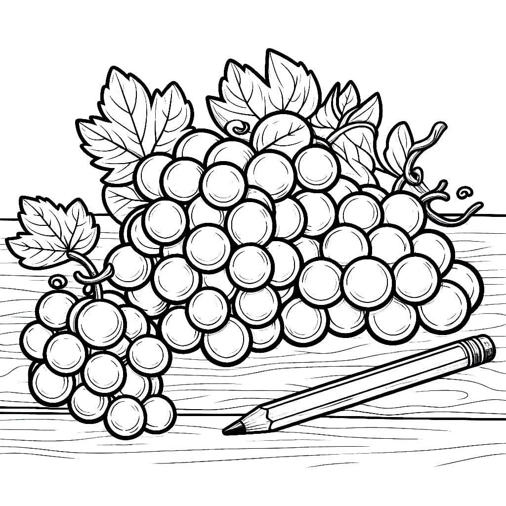 Druer og penn fargelegging