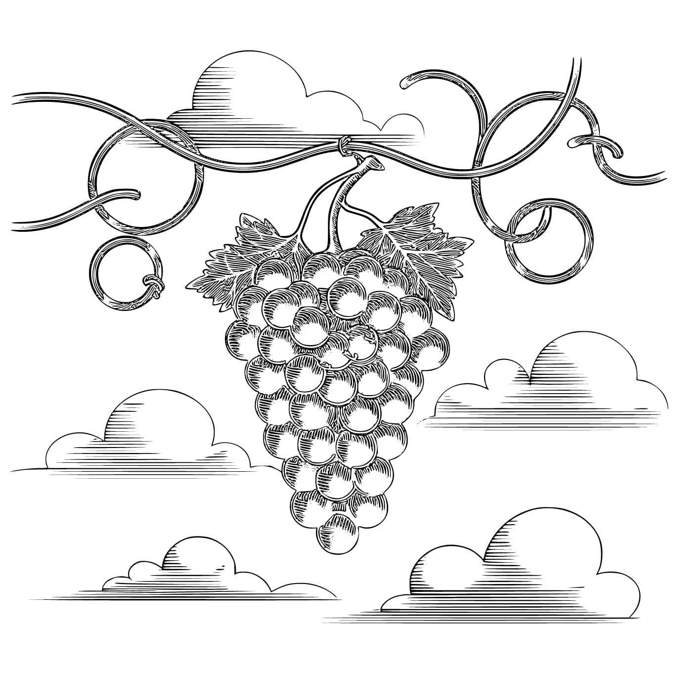 Druer og skyer fargelegging