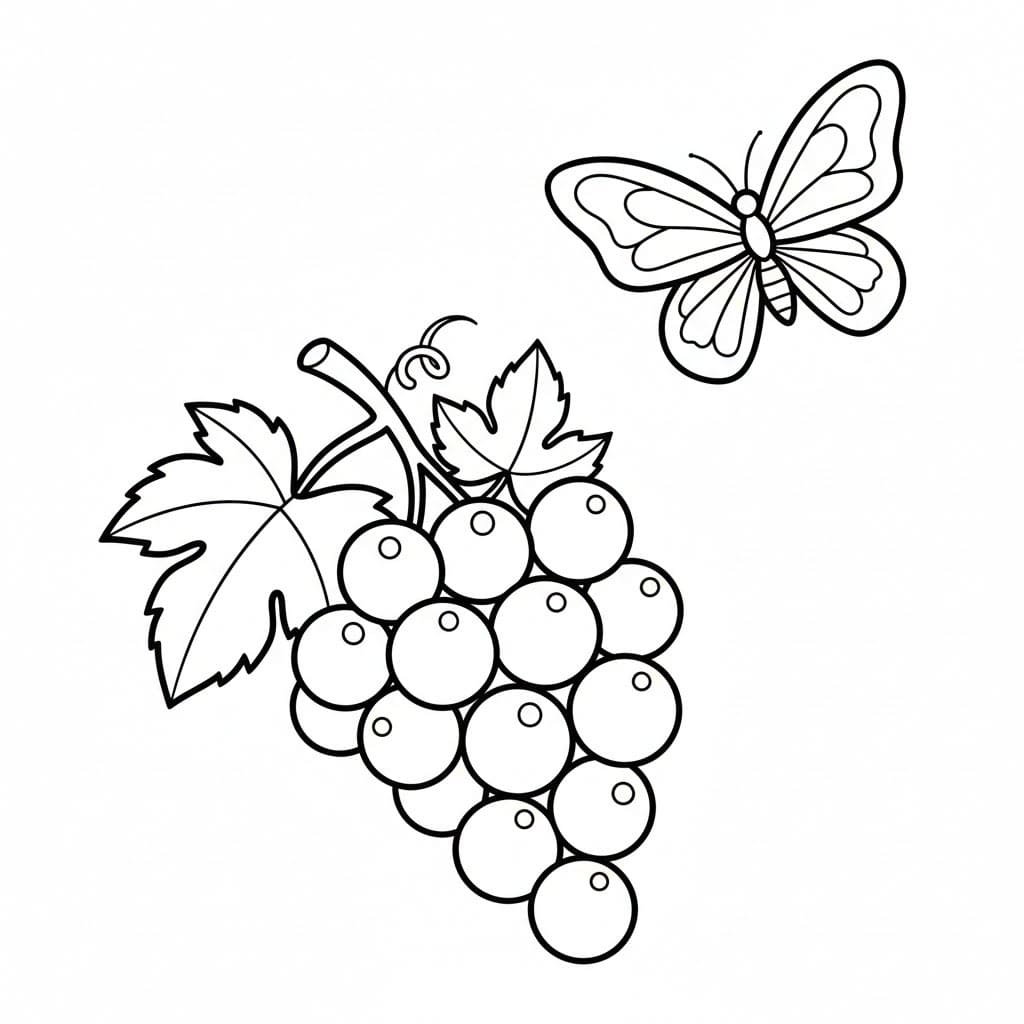 Druer og sommerfugler fargelegging