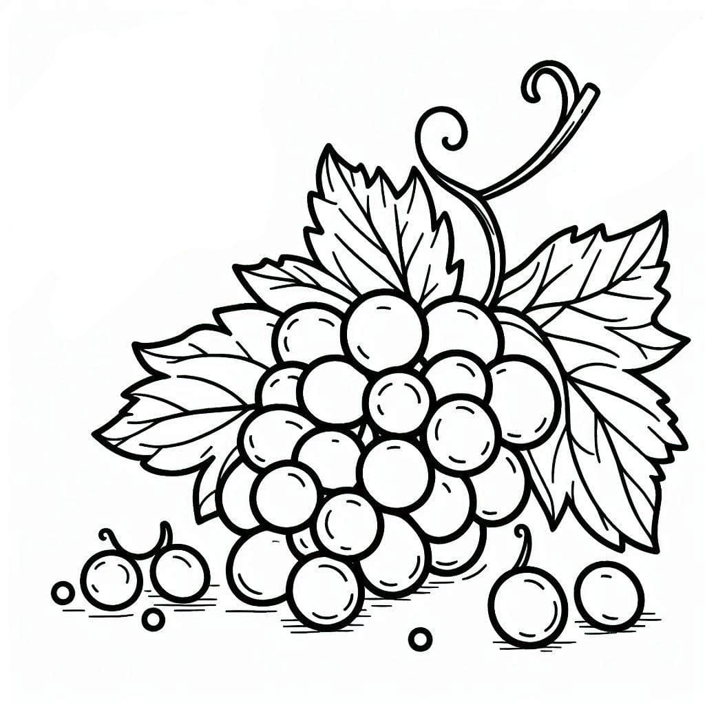 En vakker klase druer fargelegging