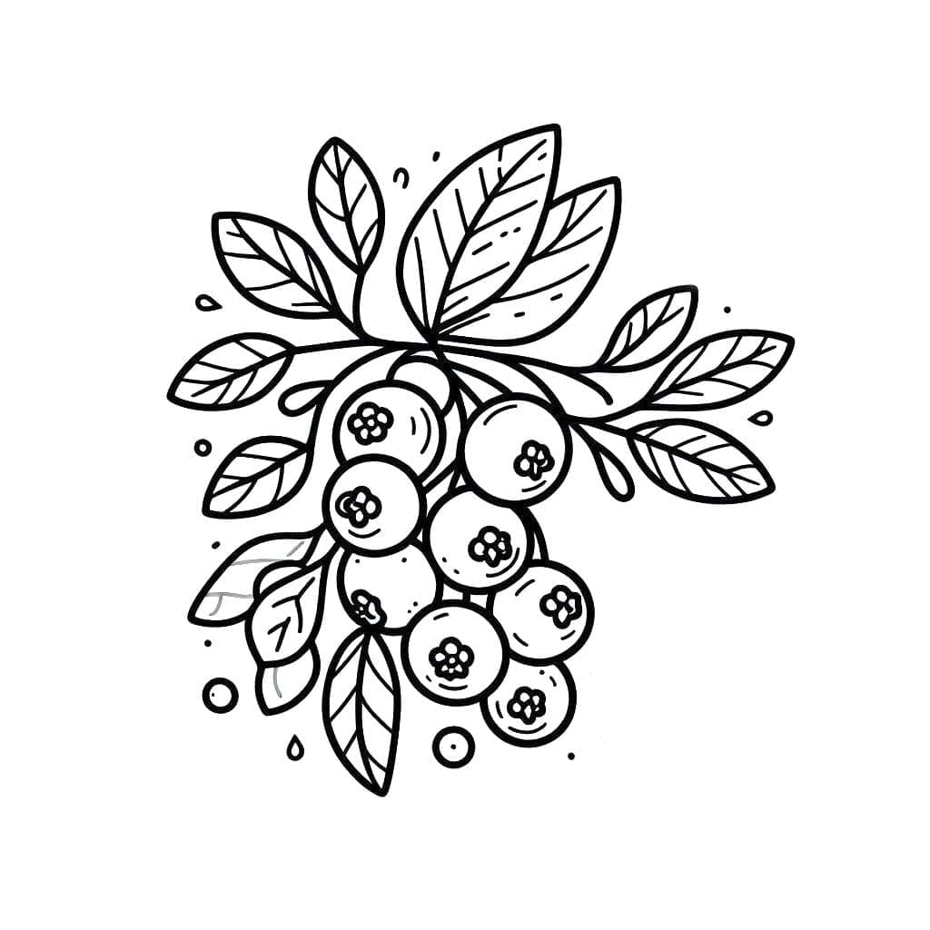Enkel blåbærgren fargelegging