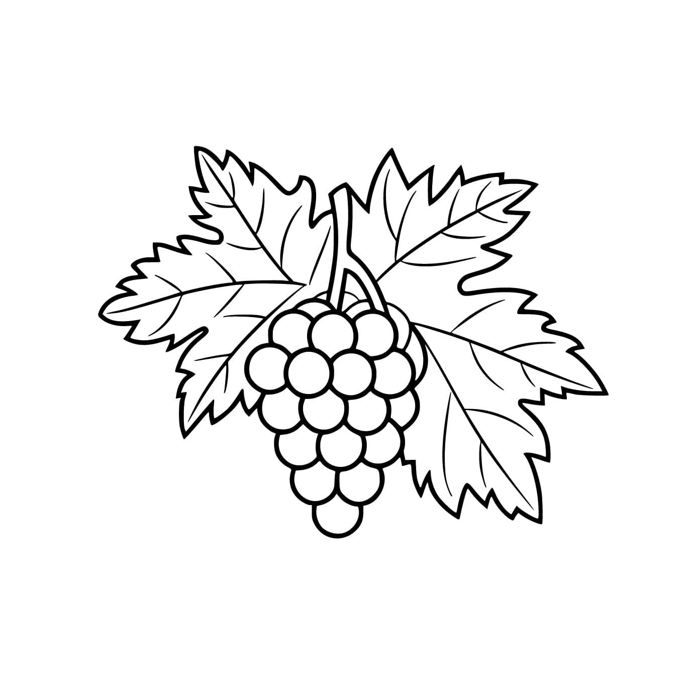 Enkel Druer fargelegging