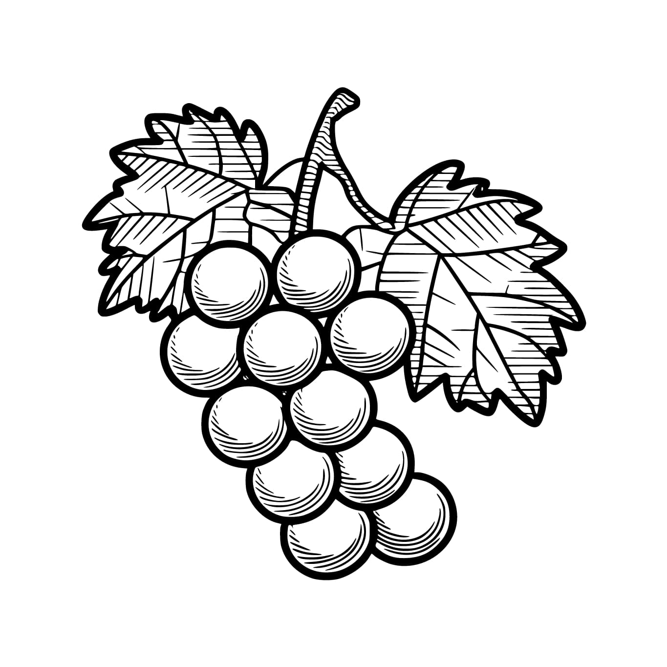 Enkel druer utskrift fargelegging