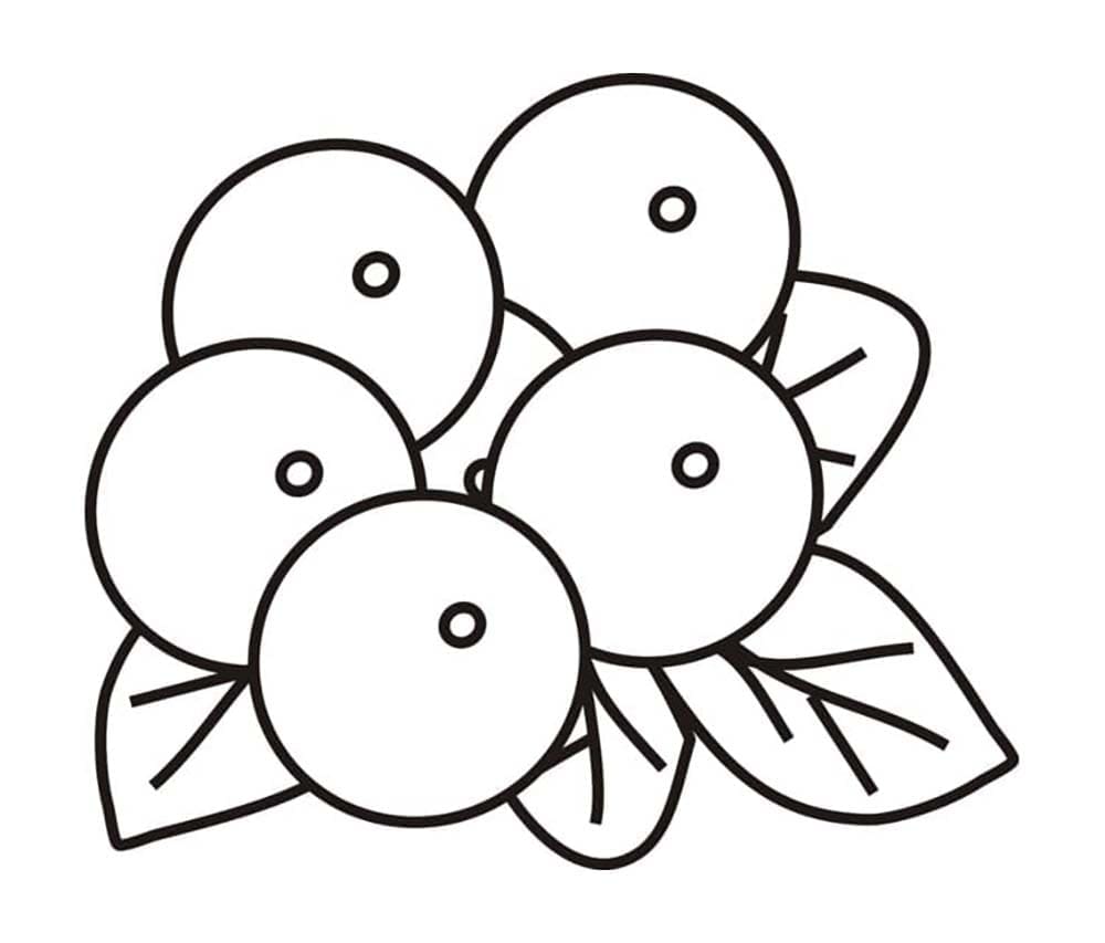 Enkle blåbær gratis fargelegging