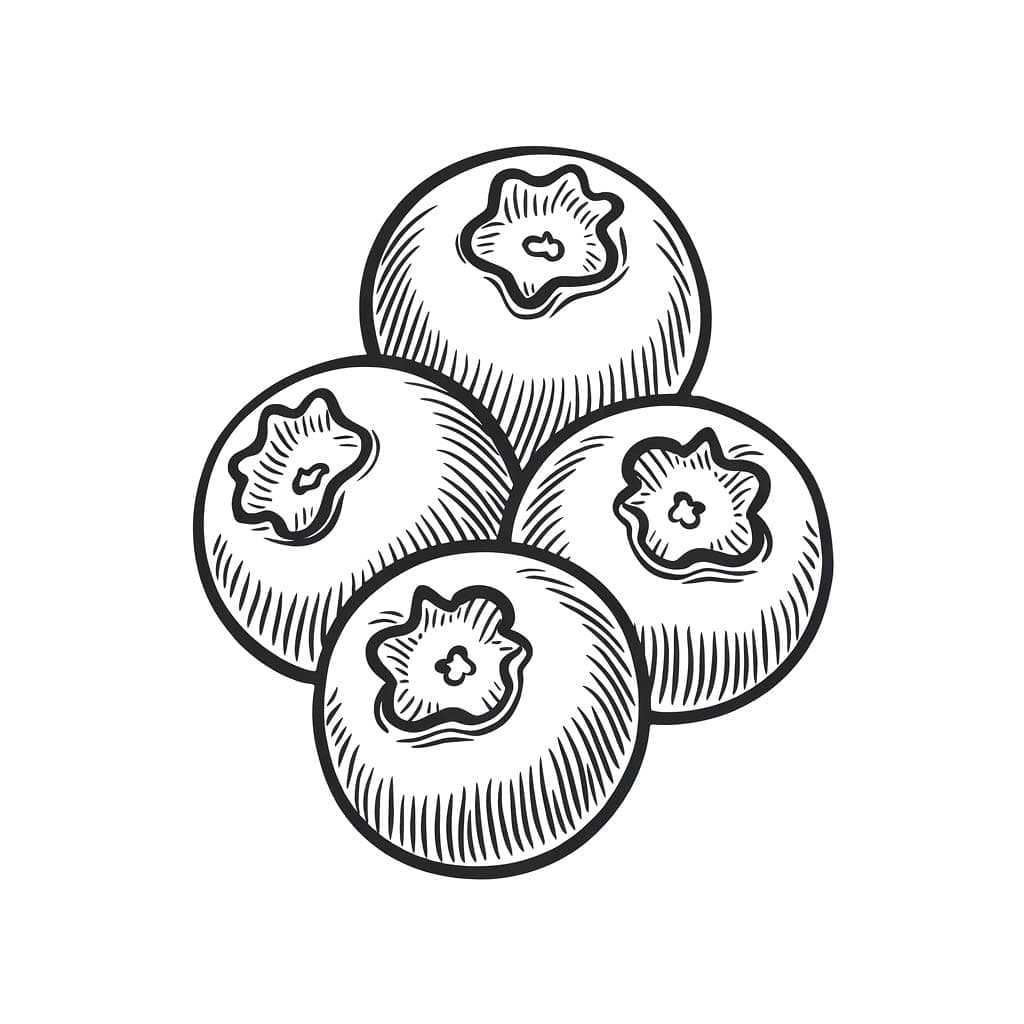 Fire blåbær fargelegging