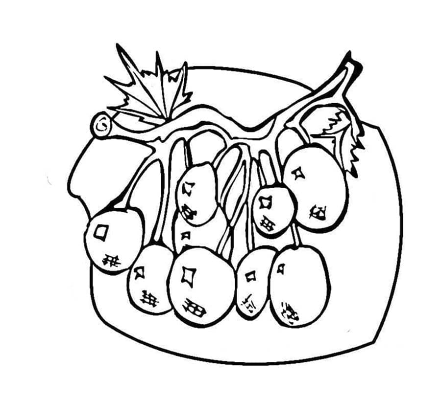 Gratis blåbær fargelegging