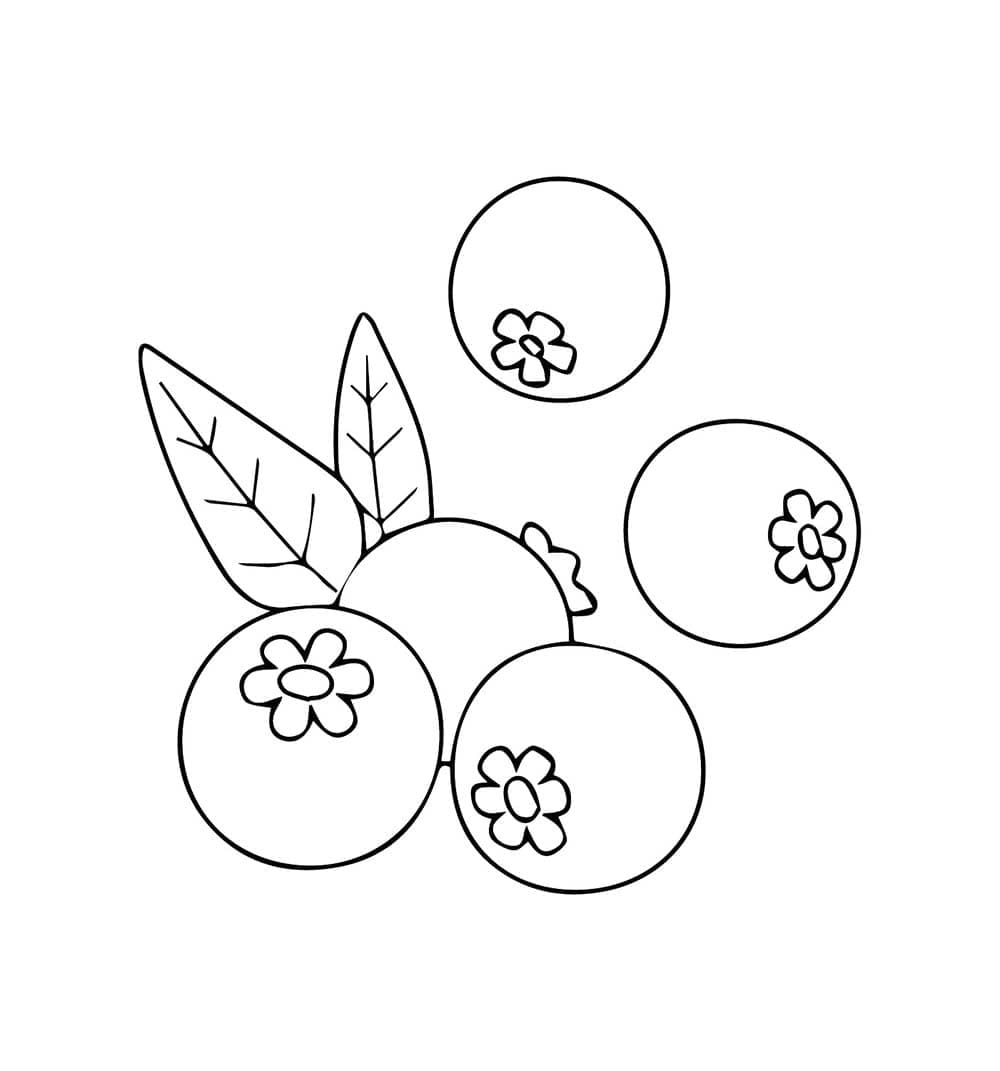 Gratis blåbær oversikt fargelegging