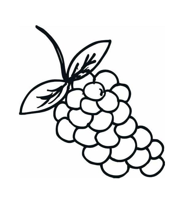 Gratis Druerutskrift fargelegging