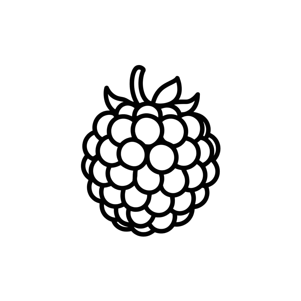 Grunnleggende bringebær fargelegging