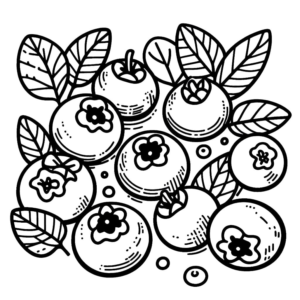 Grunnleggende om blåbærtegning fargelegging