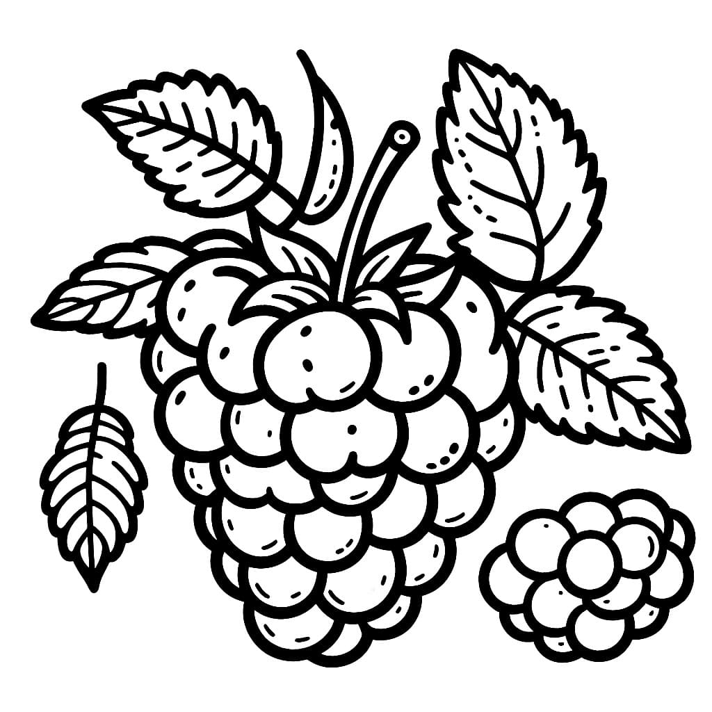 Skriv ut gratis bringebær fargelegging