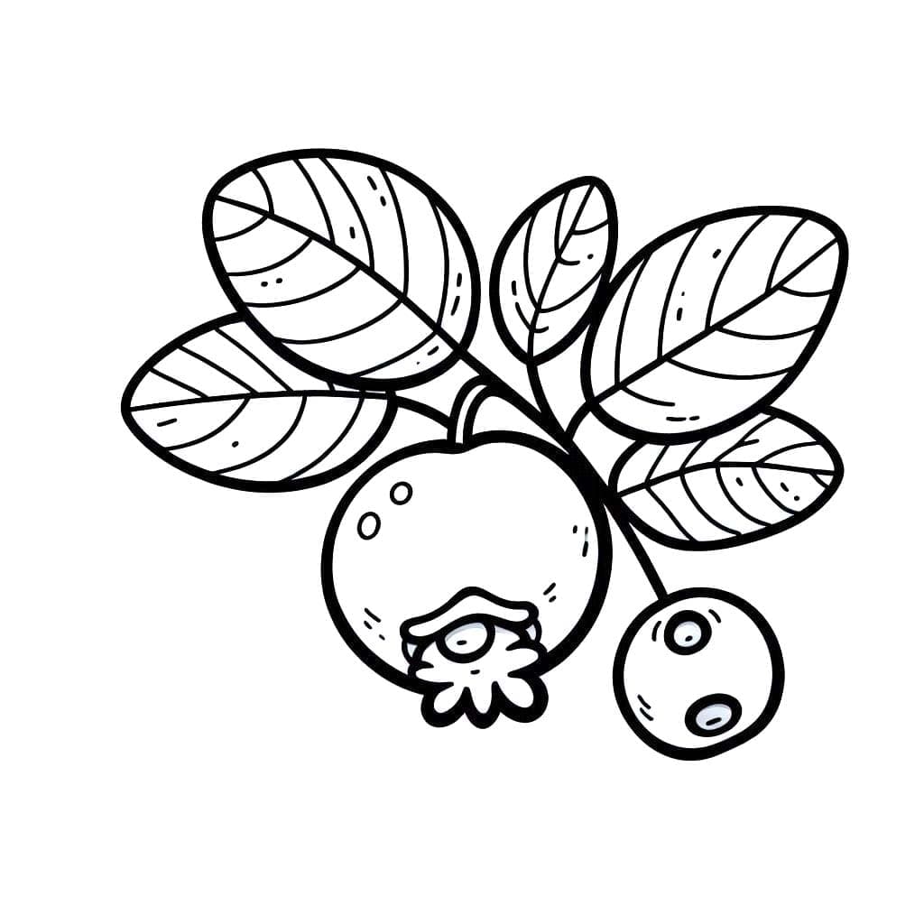 Små og store blåbær fargelegging