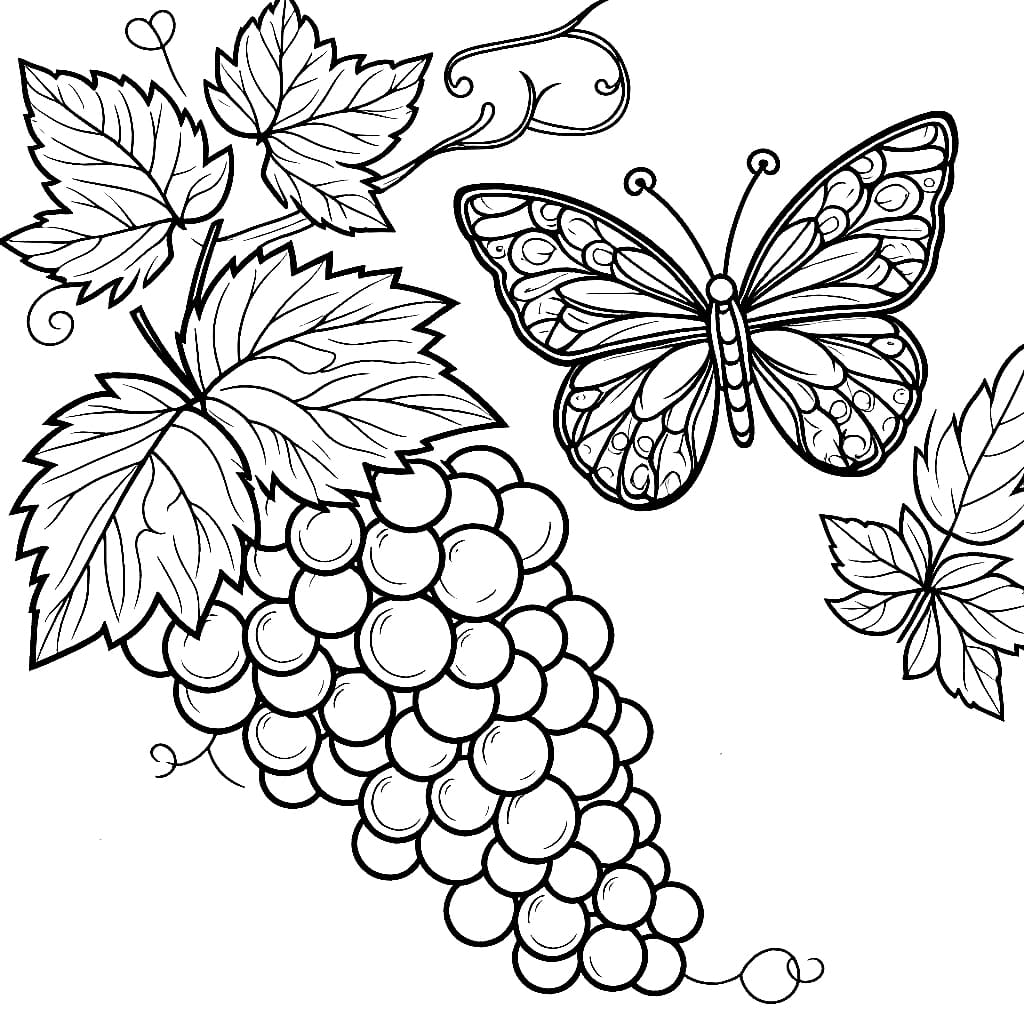 Sommerfugler og druer fargelegging