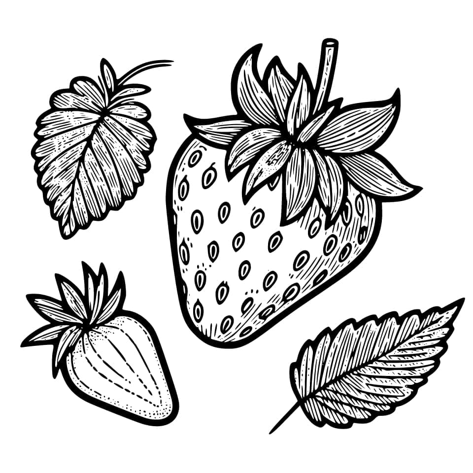 Store og små jordbær fargelegging