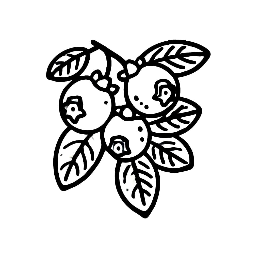 Tegn blåbær veldig bra fargelegging