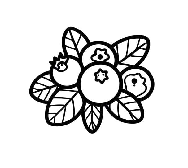 Tegn et bilde av blåbær fargelegging