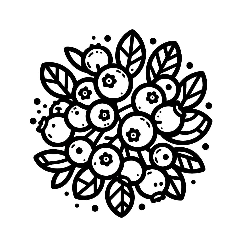 Tegn vakre blåbær fargelegging