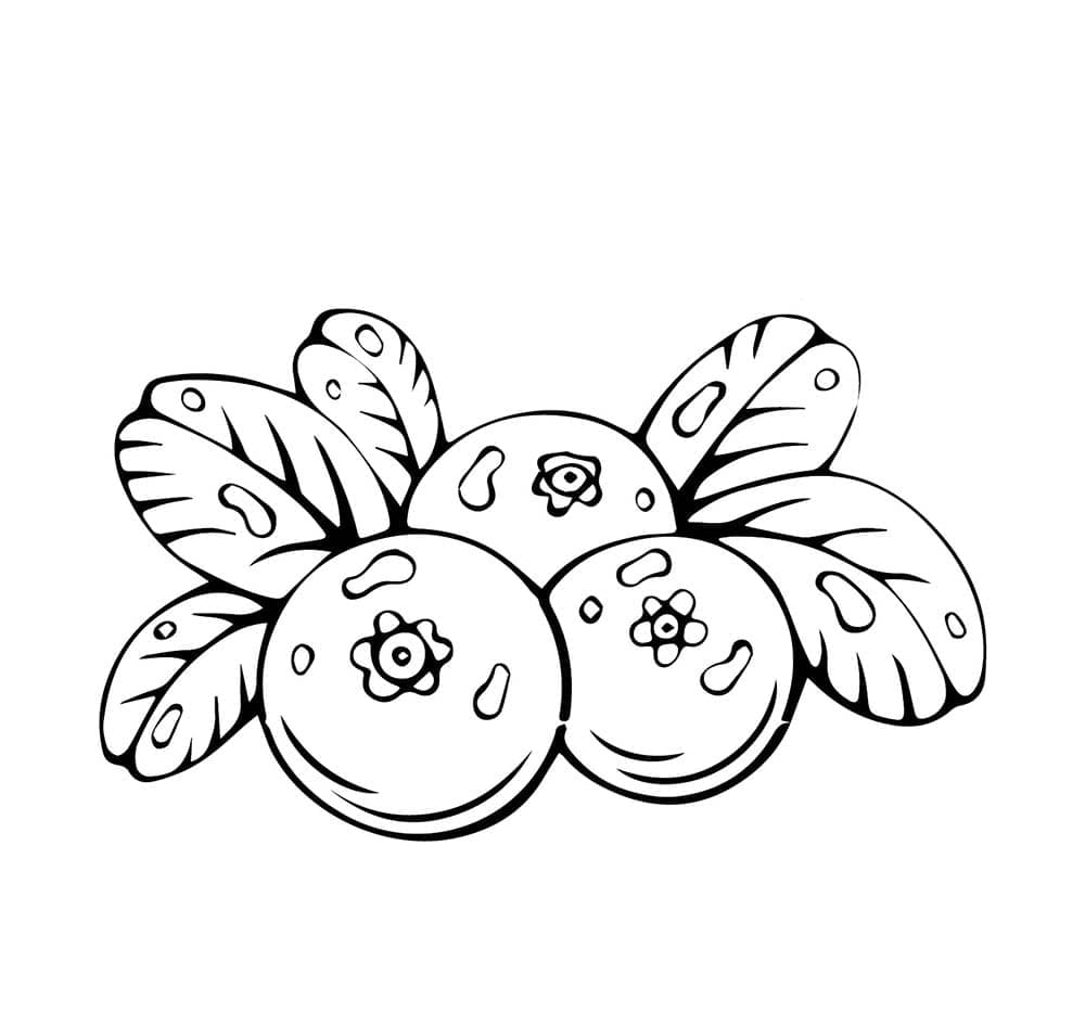 Tegning av blåbær fargelegging