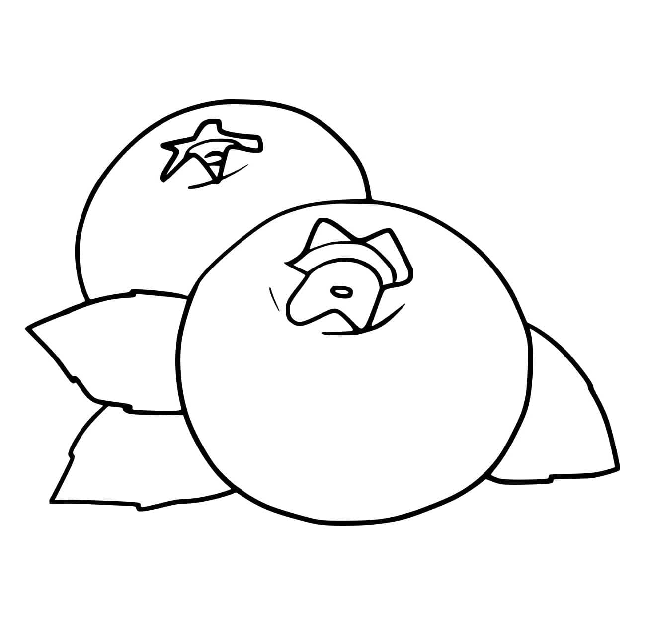 To store blåbær fargelegging