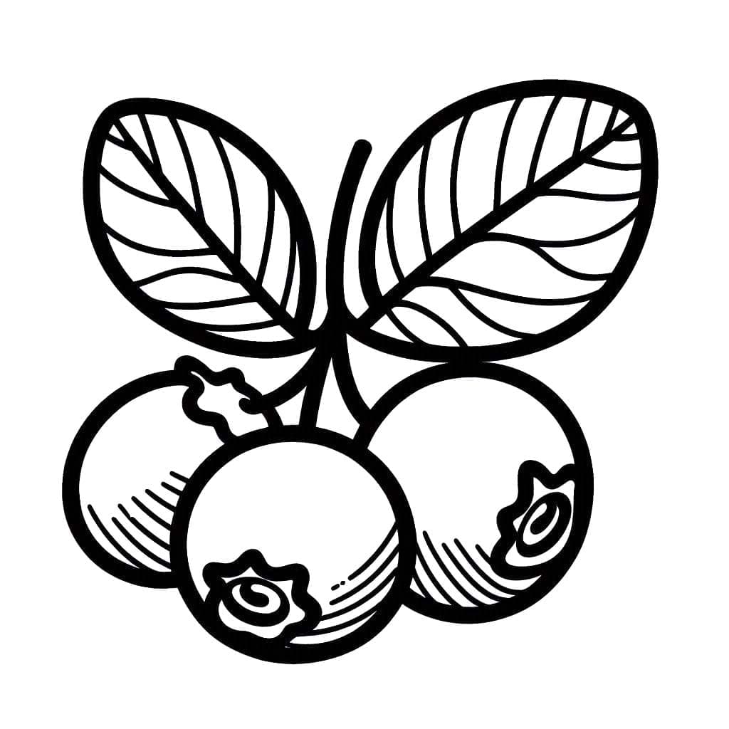 Tre blåbær med blader fargelegging