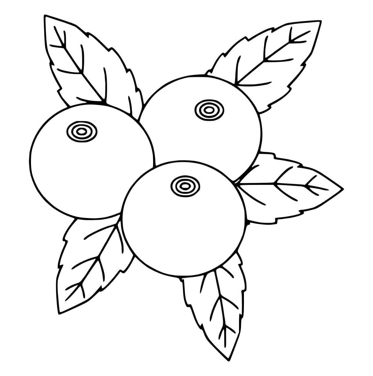 Tre enkle blåbær fargelegging