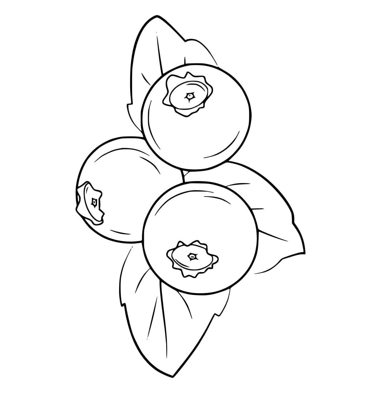 Tre gratis blåbær fargelegging