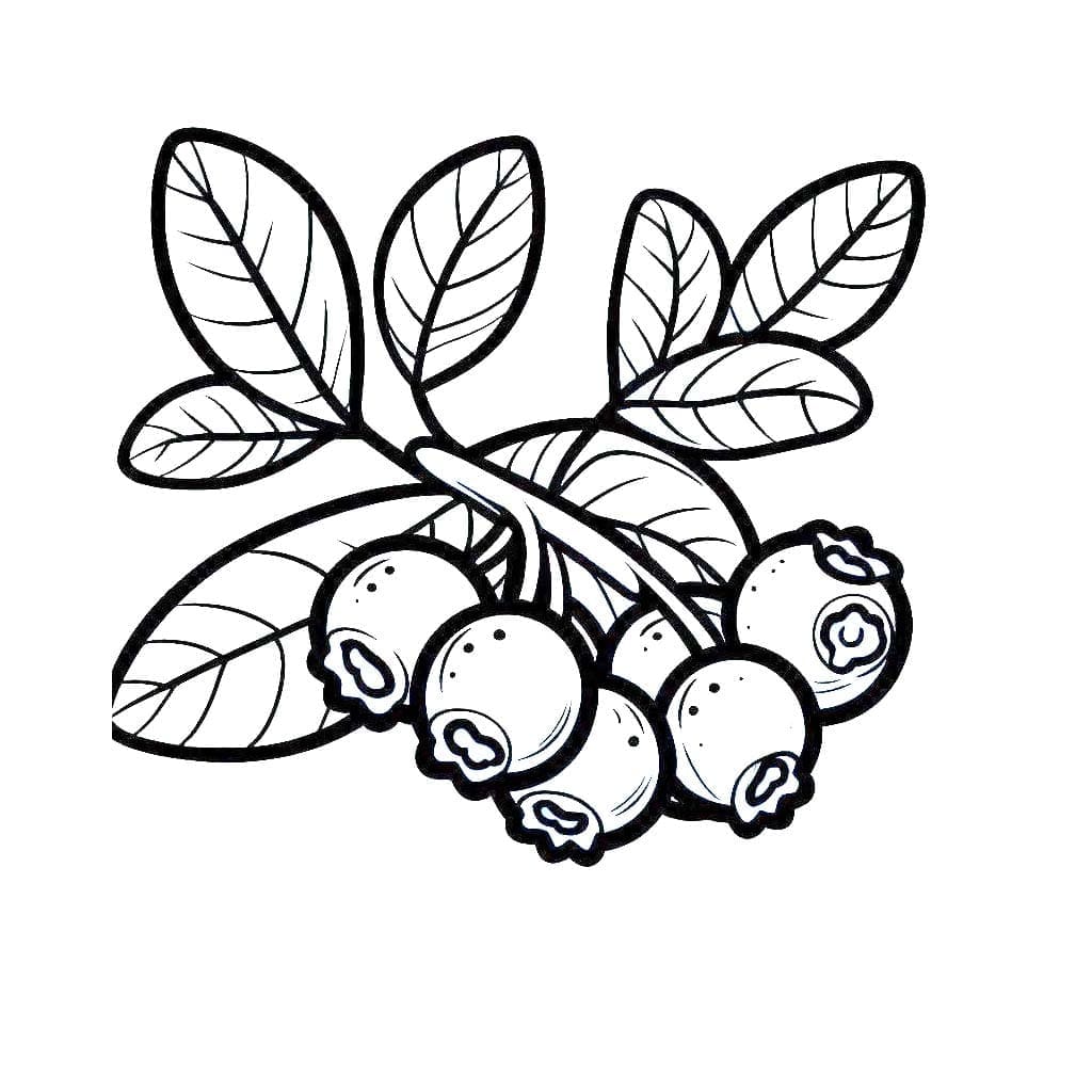 Utskrivbar blåbærtegning fargelegging