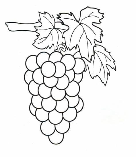 Utskrivbare Druer bilder fargelegging